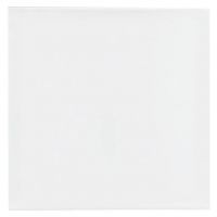 PlayBox: Maliarska plátno 20x20cm - 0/c/0c42eff900b5bca4f79ad51de3742e59d7e87e0cf33b93599749dae11ebc6dc5.jpg