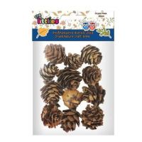 Sušené šišky 12 dielny set - 1/f/1fe60403ee2567983079c1e58141d73d6a91e0b89aee5ec549f50294f9b1329a.jpg