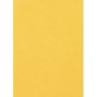 Spirit: Zlatá pena A/4 veľkosť 2mm - 2/7/27bdbbba0b5a129da21af80f5de0528fd3dba2667b2625e7551183f93aa078f5.jpg
