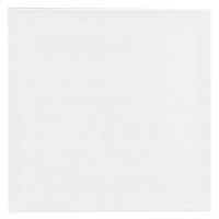 PlayBox: Napnuté biele plátno na maľovanie 15x15 cm - 2/9/29b1bfbc76538565590d40d776cb70867bddff7b2b001126d48a6f39e50fa436.jpg