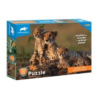 Animal Planet: Rodina gepardov 1000-dielne puzzle - a/n/animal-planet-rodina-gepardov-1000-dielne-puzzle.jpg
