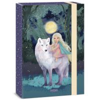 Ars Una: Northern Lights box na zošity A4 - a/r/Ars-Una-Northern-Lights-box-na-zosity-A4-1.jpg