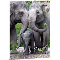 Ars Una: Serenity – Slon A/4 doska s gumičkou - a/r/Ars-Una-Serenity---Slon-A-4-doska-s-gumickou-1.jpg