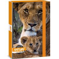 Ars Una: Spirit of Nature Lev A/4 box na zošity - a/r/Ars-Una-Spirit-of-Nature-Lev-A-4-box-na-zosity-1.jpg