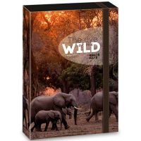 Ars Una: Máté Bence The Eyes of the Wild - Slon box na zošity A/4 - a/r/ars-una-mate-bence-the-eyes-of-the-wild-slon-box-na-zosity-a-4.jpg