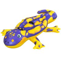 Bestway: Salamandra dvojmiestný jazdecký matrac s rukoväťou 191 x 119 cm - b/e/Bestway-Salamandra-dvojmiestny-jazdecky-matrac-s-rukovatou-191-x-119-cm-1.jpg