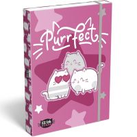 ICO: Lizzysuli Kittok stars box na zošity A4 s gumičkou s motívom mačiek - i/c/ICO-Lizzysuli-Kittok-stars-box-na-zosity-A4-s-gumickou-s-motivom-maciek-1.jpg