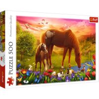 Kone na lúke 500-dieliková puzzle - Trefl - k/o/Kone-na-luke-500-dielikova-puzzle--Trefl-1.jpg