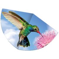 Kolibrík šarkan