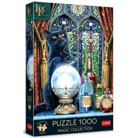 Lisa Parker: Čarodejný učeň 1000-dielne prémiové plus puzzle - Trefl - l/i/Lisa-Parker-Carodejny-ucen-1000-dielne-premiove-plus-puzzle--Trefl-1.jpg