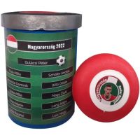 Maďarský výberový tím stolného futbalu - m/a/Madarsky-vyberovy-tim-stolneho-futbalu-1.jpg