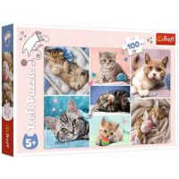 Mačky 100-dielne puzzle - Trefl - m/a/macky-100-dielne-puzzle-trefl.jpg
