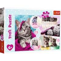 Milé mačky 160 dielne puzzle - Trefl - m/i/mile-macky-160-dielne-puzzle-trefl.jpg