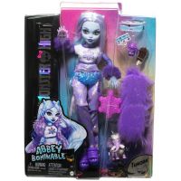 Monster High: Abbey baba s doplnkami - Mattel - m/o/Monster-High-Abbey-baba-s-doplnkami--Mattel-1.jpg