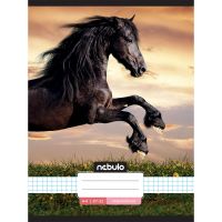 Nebulo: Zošit s kockovaným vzorom - Kôň v západe slnka, 87-32 A/4 - n/e/Nebulo-Zosit-s-kockovanym-vzorom--Kon-v-zapade-slnka-87-32-A-4-1.jpg