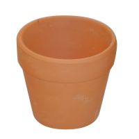 PlayBox: Sada hlinených črepníkov 10 ks, 6 cm - p/l/PlayBox-Sada-hlinenych-crepnikov-10-ks-6-cm-1.jpg
