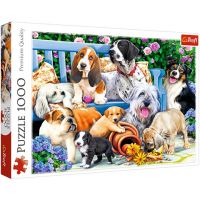 Psy v parku 1000 ks puzzle - Trefl - p/s/psy-v-parku-1000-ks-puzzle-trefl.jpg