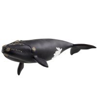 Schleich: Figúrka severoatlantickej veľryby (14878)