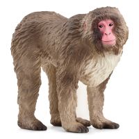 Schleich: Japonský makak figúrka (14871) - s/c/Schleich-Japonsky-makak-figurka-14871--1.jpg