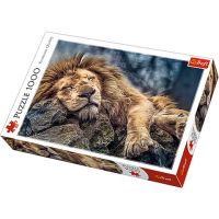 Spiaci lev 1000 ks Premium puzzle - Trefl - s/p/spiaci-lev-1000-ks-premium-puzzle-trefl.jpg
