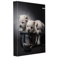 Spirit: Šteniatka box na zošity A/4 s gumičkou - s/p/spirit-steniatka-box-na-zosity-a-4-s-gumickou.jpg