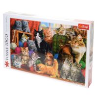 Stretávka mačiek 1000 dielne puzzle - Trefl - s/t/stretavka-maciek-1000-dielne-puzzle-trefl.jpg