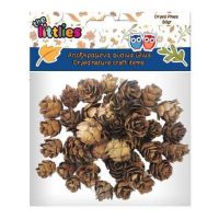 Sušené šišky 20 g - s/u/susene-sisky-20-g.jpg