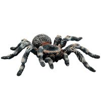 Tarantula s bielymi kolenami hracia figúrka - t/a/tarantula-s-bielymi-kolenami-hracia-figurka.jpg