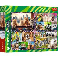 Veselé zvieratká 4x250 dielikov puzzle - Trefl - v/e/vesele-zvieratka-4x250-dielikov-puzzle-trefl-1.jpg