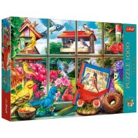 Vtáky za oknom 1000-dielne Prémium plus kvalitné puzzle - Trefl - v/t/Vtaky-za-oknom-1000-dielne-Premium-plus-kvalitne-puzzle--Trefl-1.jpg