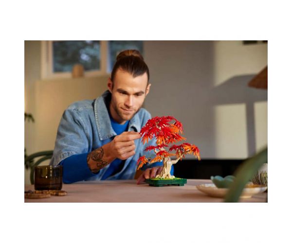 LEGO® Botanicals: Bonsaj japonského javora s červenými listami (10348)