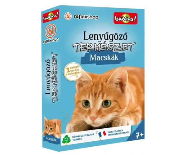 Úžasná príroda - Hracía karta mačky