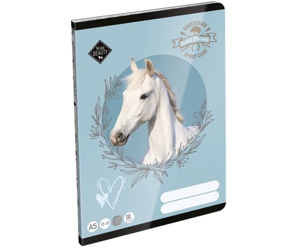 IČO: LizzySuli Wild Beauty Sport Club linkovaný zošit pre 3. ročník A5 12-32