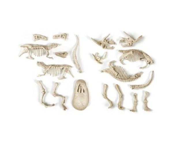 Science&Play: Archeofun svietiaci T-rex a Triceratops archeologický set - Clementoni