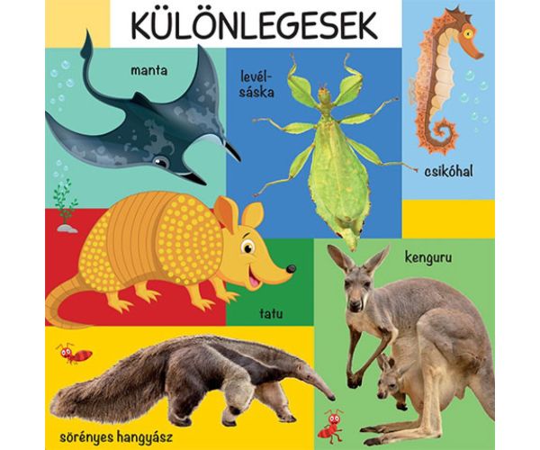101 farebný obrázok o voľne žijúcich zvieratách detská kniha