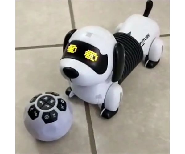 Tači interaktívny robot kamoš