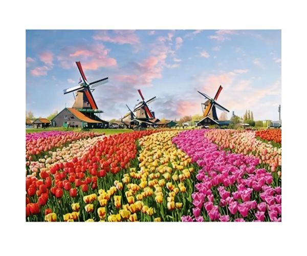 Diamantové puzzle: Holandské tulipánové pole diamantové maľovanie set 30x40cm