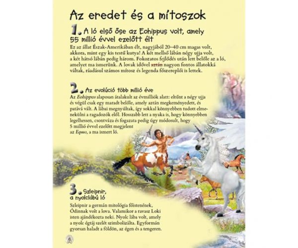 101 vecí, ktoré je dobré vedieť o koňoch populárno-náučná kniha