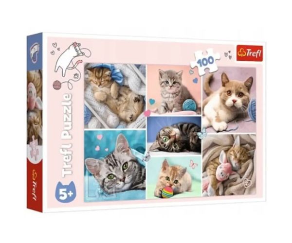 Mačky 100-dielne puzzle - Trefl