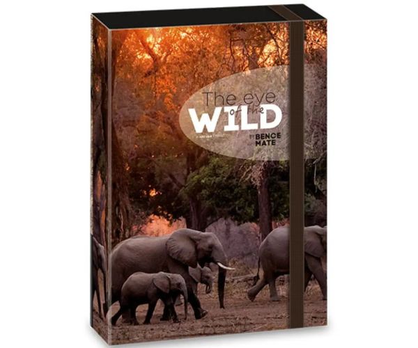 Ars Una: Máté Bence The Eyes of the Wild - Slon box na zošity A/4