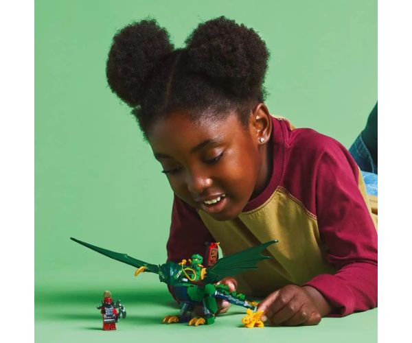 LEGO® Ninjago: Lloyd zelený, lesný drak (71829)