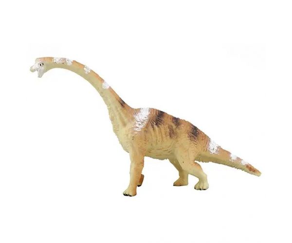 Dinoszauruszos régészeti készlet többféle változatban 1db