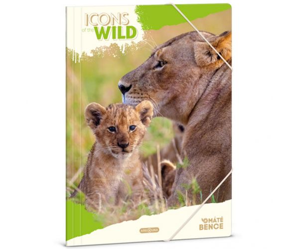 Ars Una: Máté Bence Icons of the Wild-Lions A/4 gumis dosszié
