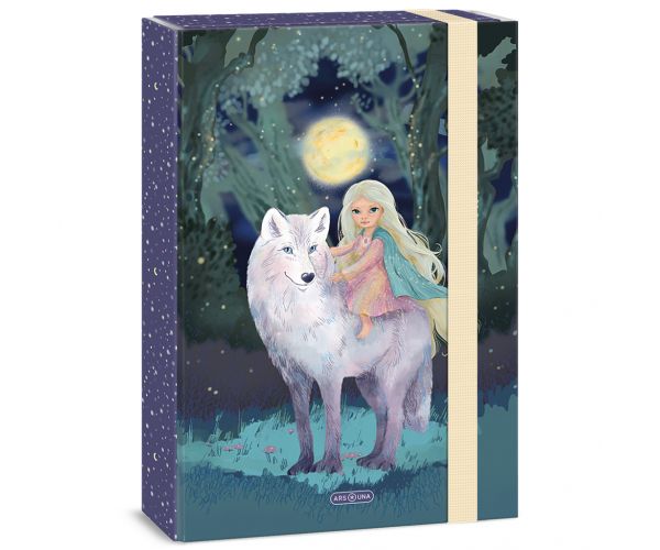 Ars Una: Northern Lights füzetbox A/4