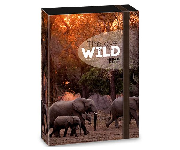 Ars Una: Máté Bence The Eyes of the Wild - Elefánt füzetbox A/4