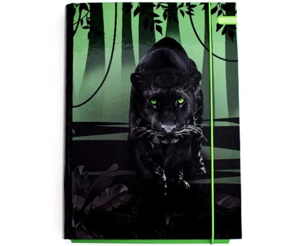 Spirit: Black Panther box na zošity A/4