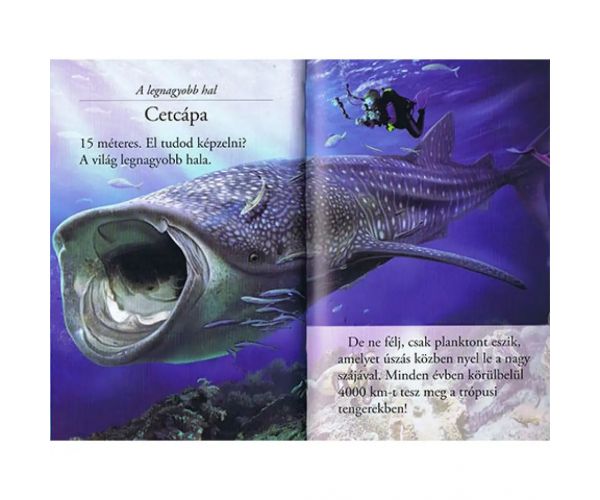 Čítaj s nami! (2) - Svet žralokov detská kniha