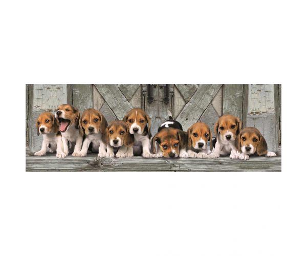 Beagle kutyusok 1000db-os panoráma puzzle 98x33cm - Clementoni