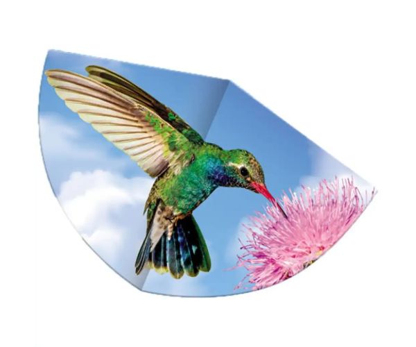 Kolibrík šarkan