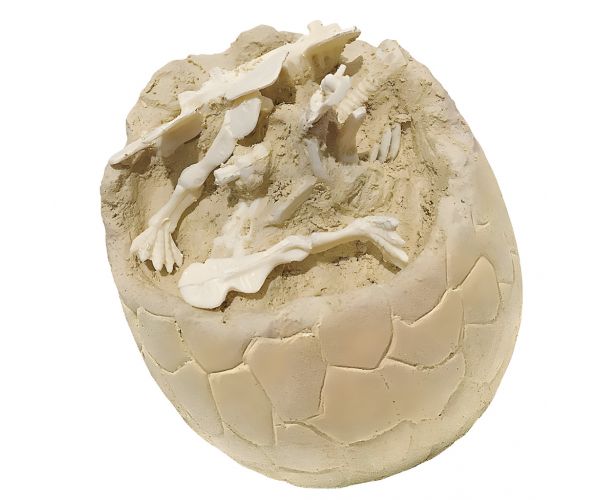 Dino Explorer: Régészeti meglepetés dinoszaurusz tojás többféle változatban